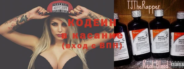 соль ск Абаза